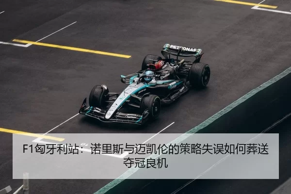 xiong-ya-li-zhan-nuo-li-si-yu-mai-kai-lun-de-ce-lve-shi-wu-ru-he-zang-song-duo-guan-liang-ji-3-934.jpg