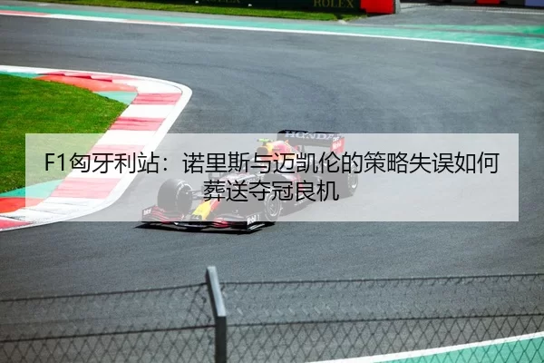 F1匈牙利站：诺里斯与迈凯伦的策略失误如何葬送夺冠良机
