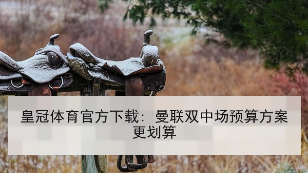 皇冠体育官方下载: 曼联双中场预算方案更划算